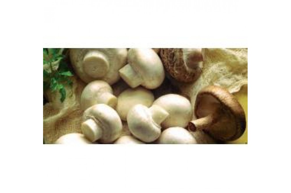 TOPPING CIUPERCI 50GR